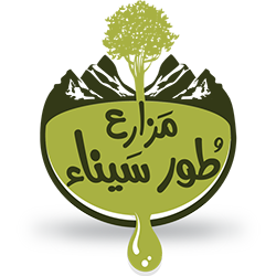 مزارع طور سيناء